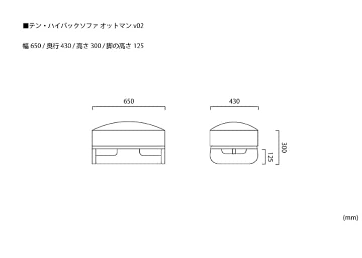 テン・ハイバックソファ オットマンv02：画像16