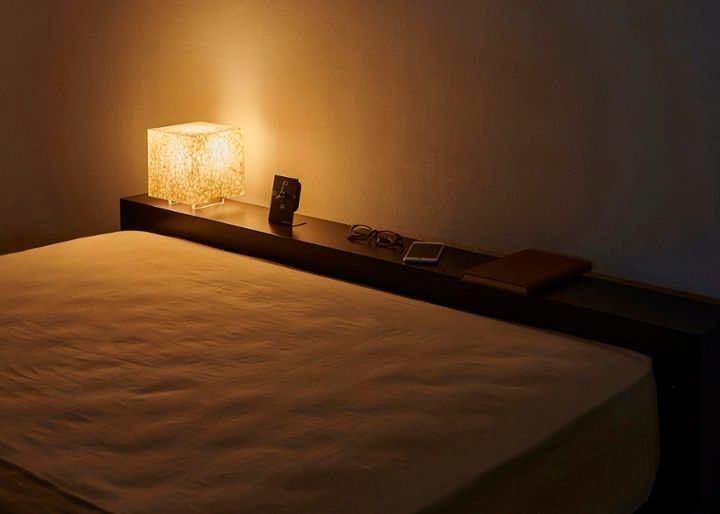 チーク・ローベッドv02：画像32