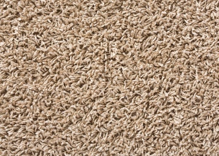 ラグ キース：画像16