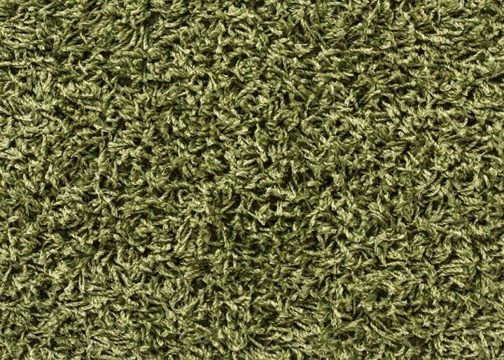 ラグ キース：画像20