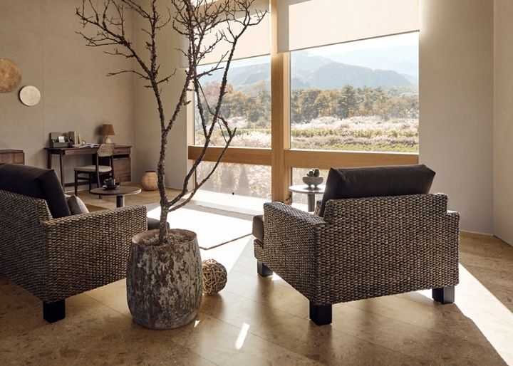 シン・ソファ (ヒヤシンス)：画像19