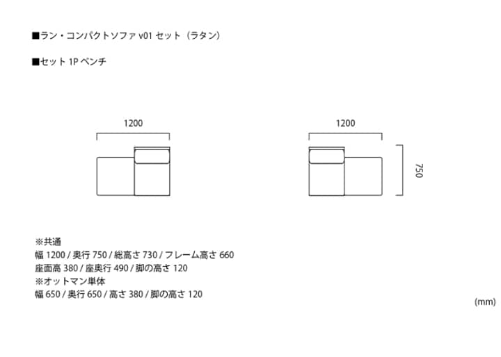 ラン・コンパクトソファ v01 セット (ラタン)：画像66