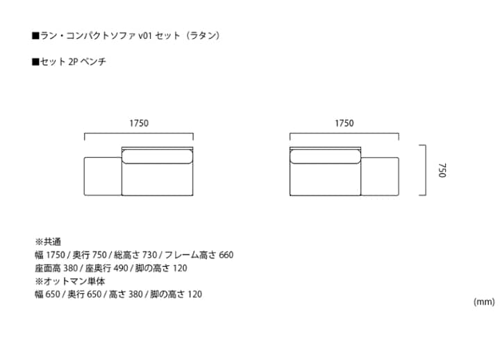 ラン・コンパクトソファ v01 セット (ラタン)：画像67