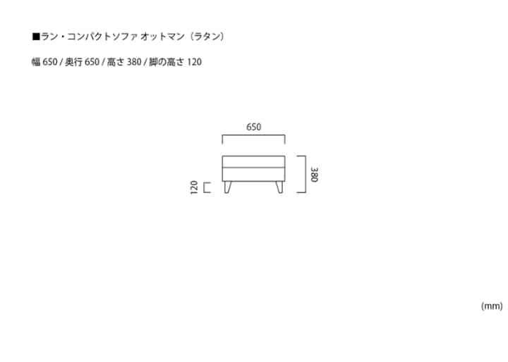 ラン・コンパクトソファ オットマン (ラタン)：画像30