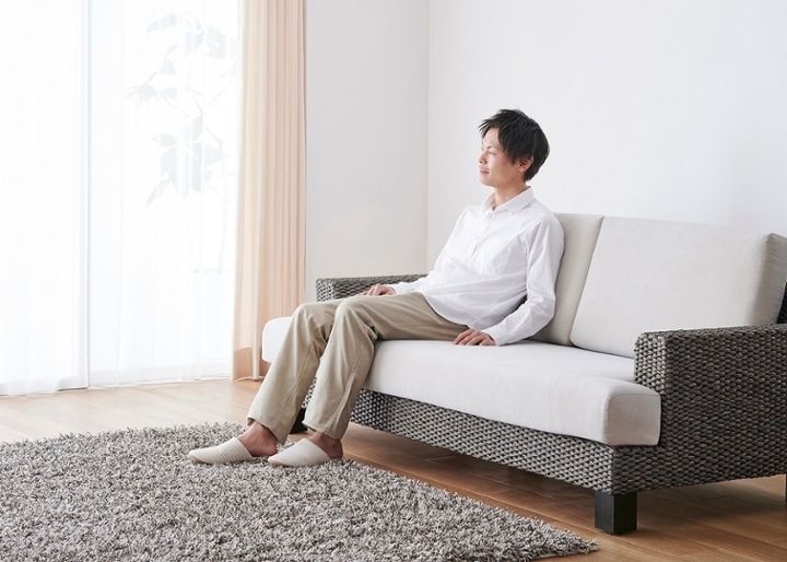 シン・ソファ (ヒヤシンスDG)：画像35