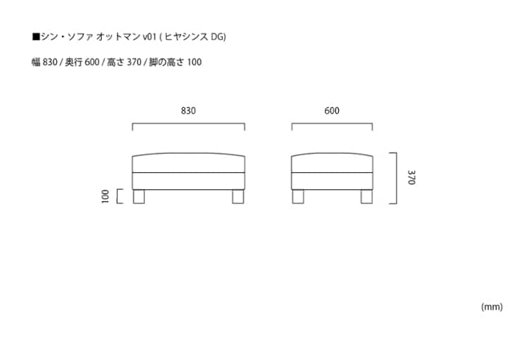 シン・ソファ オットマンv01 (ヒヤシンスDG)：画像19