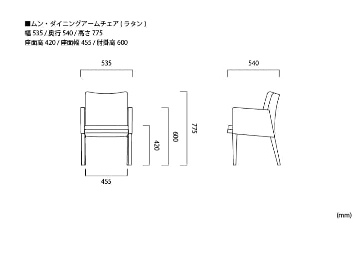 ムン・ダイニングアームチェア (ラタン)：画像52