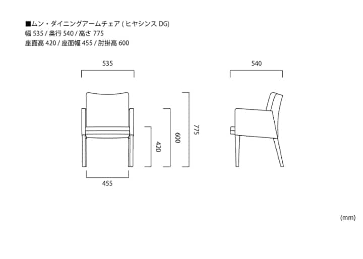 ムン・ダイニングアームチェア (ヒヤシンスDG)：画像50