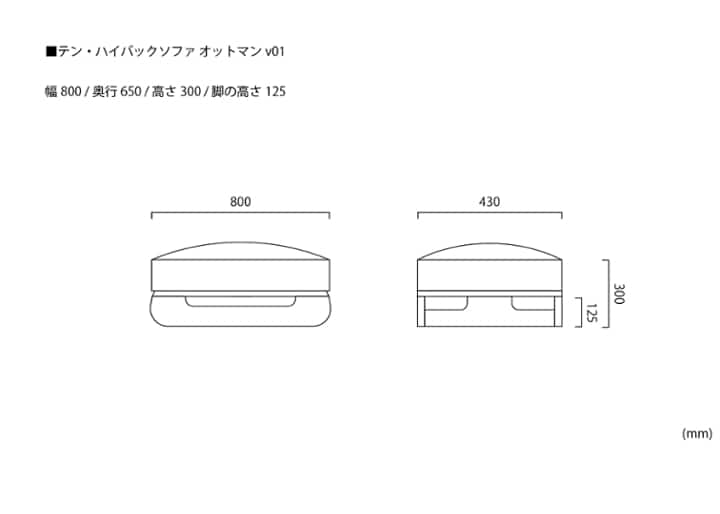 テン・ハイバックソファ オットマンv01：画像15