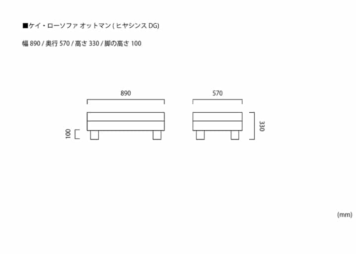 ケイ・ローソファ オットマンv01 (ヒヤシンスDG)：画像19