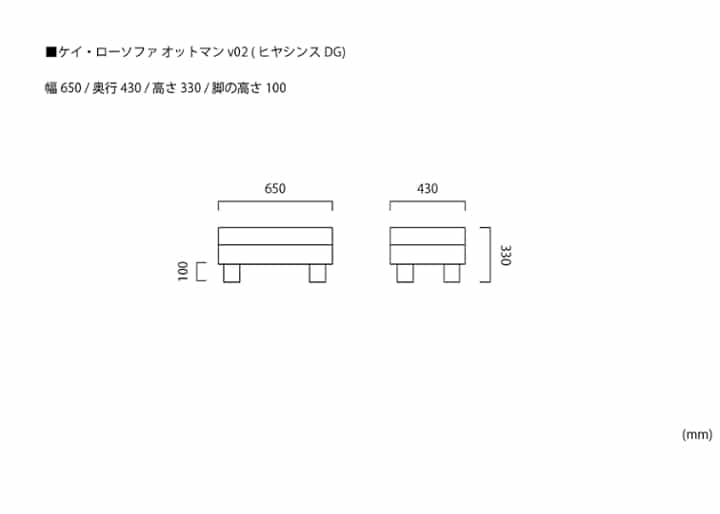 ケイ・ローソファ オットマンv02 (ヒヤシンスDG)：画像15