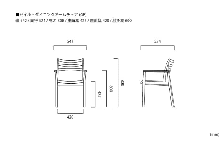 セイル・ダイニングアームチェア (GB)：画像39