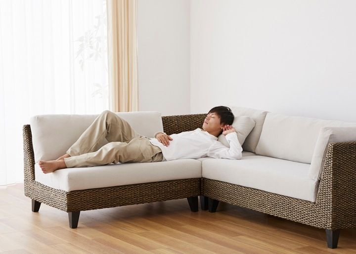 ラン・コンパクトソファ v05 コーナーセット (ヒヤシンス)：画像66