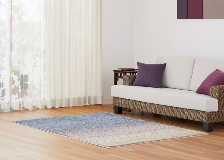 ラグ フィーノ・グラデーションv02：画像22