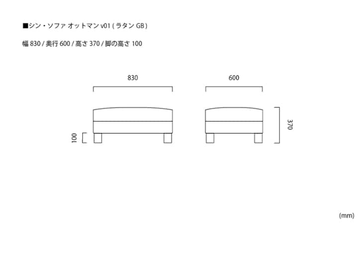 シン・ソファ オットマンv01 (ラタンGB)：画像16