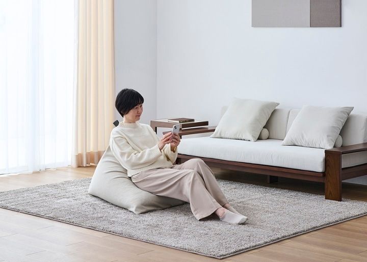 ビーズクッション (テンポテスト)：画像43