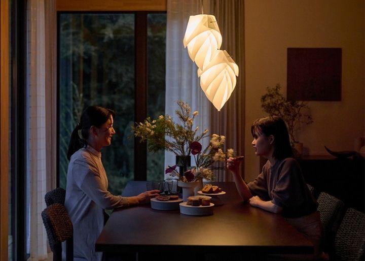 renge p-1w muji：画像12