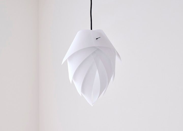 renge p-1w muji：画像19