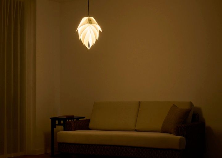 renge p-1w muji：画像2