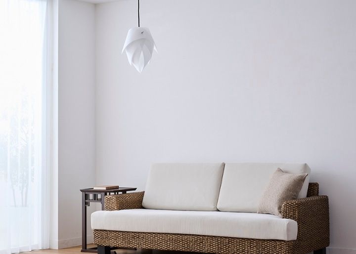 renge p-1w muji：画像20