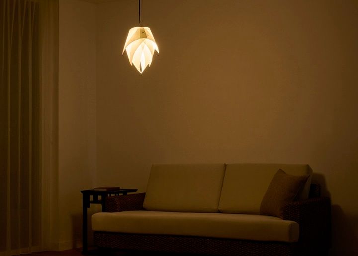 renge p-1w muji：画像21