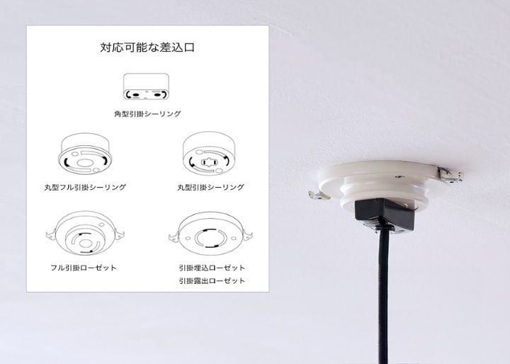 renge p-1w muji：画像34