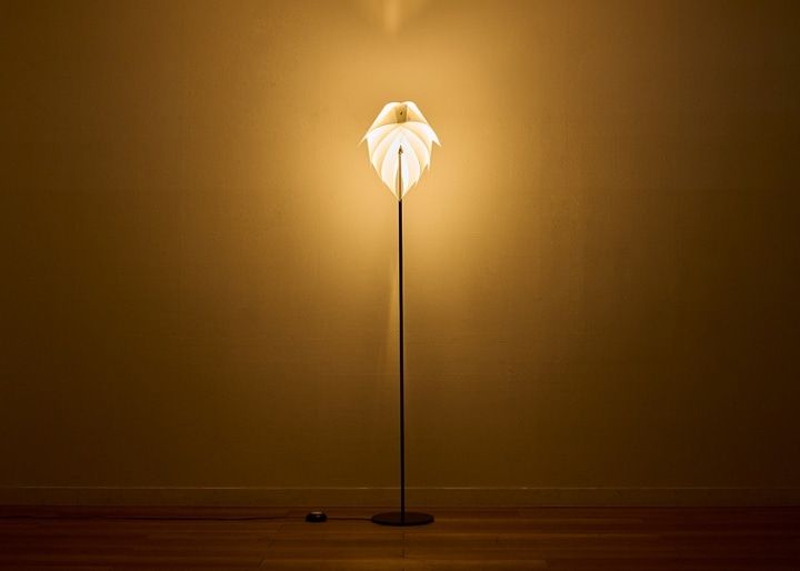 renge fsi-1：画像4