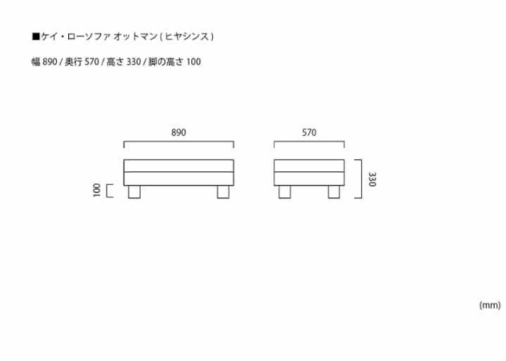 ケイ・ローソファ オットマンv01 (ヒヤシンス)：画像17