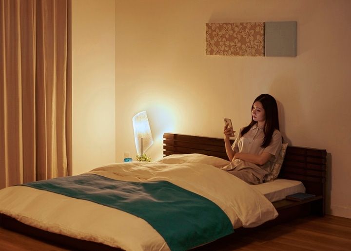 コト・ローベッドv01：画像40