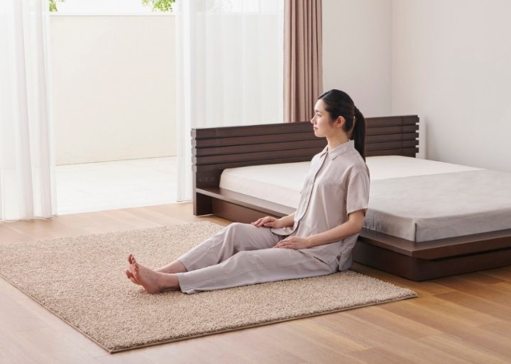 コト・ローベッドv01：画像41