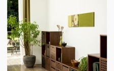 無垢材の収納家具とグリーンが調和した癒しのインテリアコーディネート：画像13