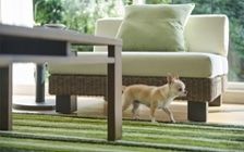 No.245 ブラウンラタン×グリーンの安らぎ感じるコーディネート：画像20