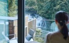 No.267 紫色が映える和×洋の融合した畳リビング：画像25