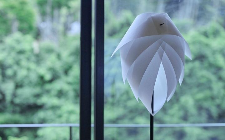 No.270 大人っぽいパープルで彩ったグレーのリビングダイニング：画像29