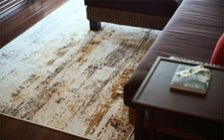 No.274 平屋で叶えるバリのヴィラ風コーディネート：画像10