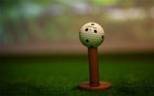 No.276 ゴルファーのための隠れ家、南国リゾート風の宿泊施設：画像9