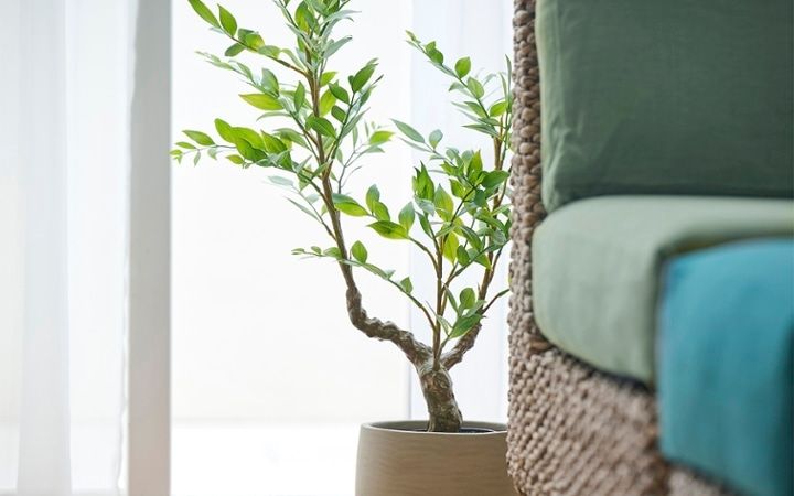 No.281：心解ける自分時間。6畳ワンルームで私らしく寛げる空間：画像21