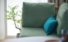 No.281：心解ける自分時間。6畳ワンルームで私らしく寛げる空間：画像6