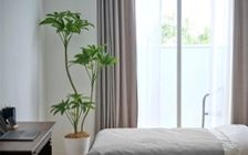 No.283：青が映える大人の暮らし。海スタイル×ワンルーム8畳・寝室：画像13