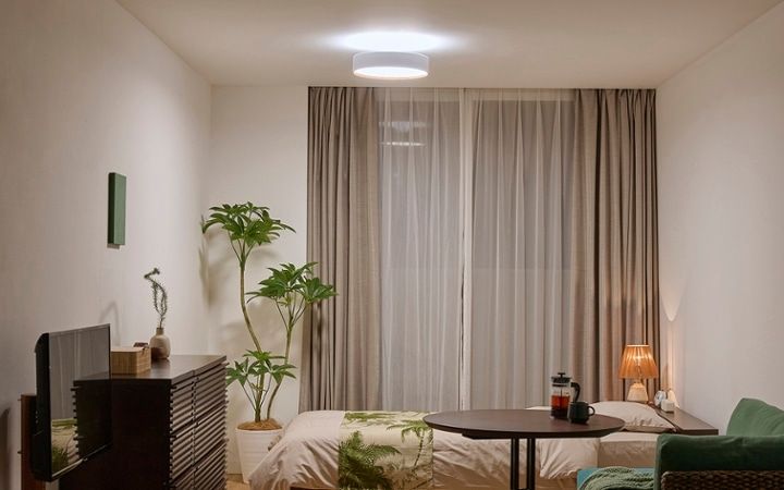 No.285：グリーンが寄り添う、6畳ワンルームで癒される暮らし：画像17