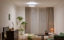 No.285：グリーンが寄り添う、6畳ワンルームで癒される暮らし：画像17