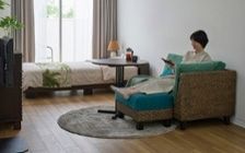 No.285：グリーンが寄り添う、6畳ワンルームで癒される暮らし：画像19