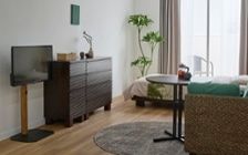 No.285：グリーンが寄り添う、6畳ワンルームで癒される暮らし：画像25