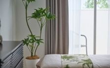 No.285：グリーンが寄り添う、6畳ワンルームで癒される暮らし：画像15