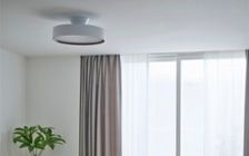 No.285：グリーンが寄り添う、6畳ワンルームで癒される暮らし：画像16