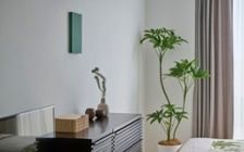 No.285：グリーンが寄り添う、6畳ワンルームで癒される暮らし：画像26