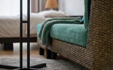 No.285：グリーンが寄り添う、6畳ワンルームで癒される暮らし：画像24