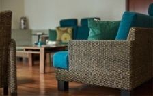 No.288 【自然派住宅】 植物と花が彩る、テラス付きリビング：画像7