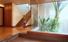 No.288 【自然派住宅】 植物と花が彩る、テラス付きリビング：画像2