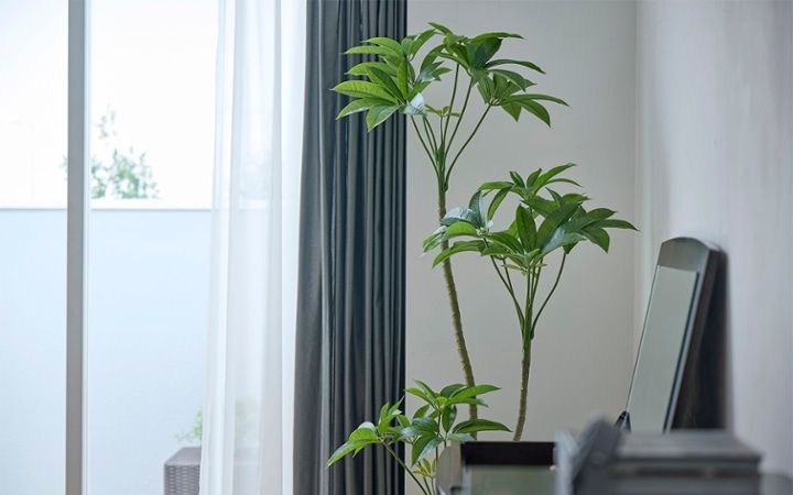 No.291：10畳ワンルームを彩る。大人女子のパープルインテリア：画像26